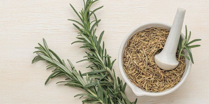 pengobatan-herbal-hipertensi
