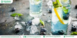 resep-es-mojitos-kekinian
