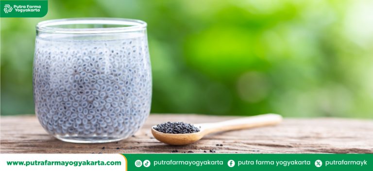 sajian-chia-seed-untuk-diet