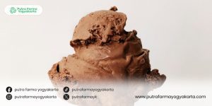 sajian-milo-es-krim-lembut