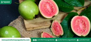 jenis-buah-sumber-kolagen-tertinggi-