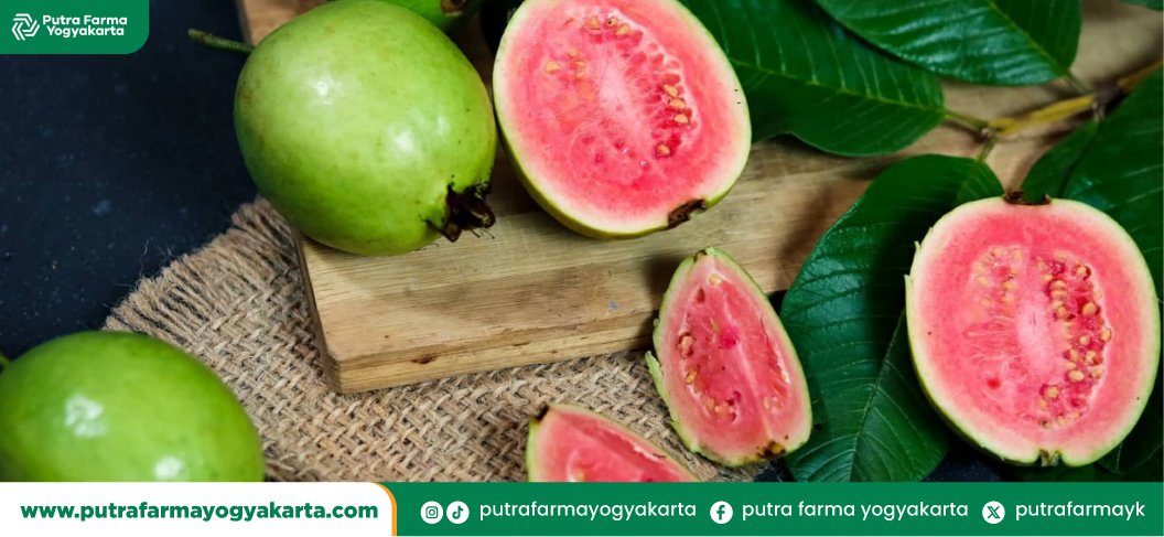 jenis-buah-sumber-kolagen-tertinggi-
