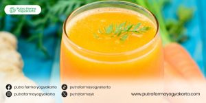 jus-pereda-nyeri-haid
