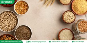 khasiat-ekstrak-malt