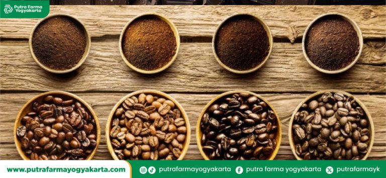varian-kopi-nusantara-yang-mendunia