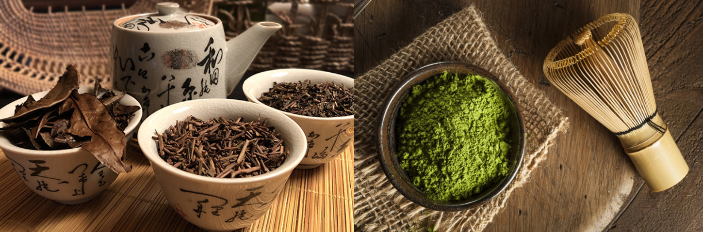 bedanya hojicha versus matcha