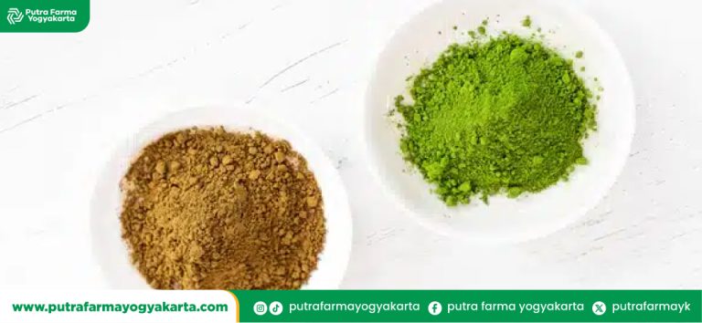 bedanya-hojicha-versus-matcha