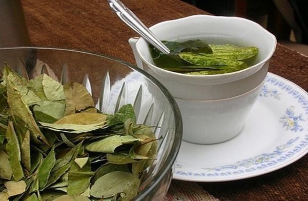 rebusan herbal penurun kolesterol