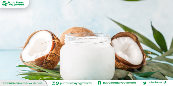 sajian-minuman-coconut-jelly