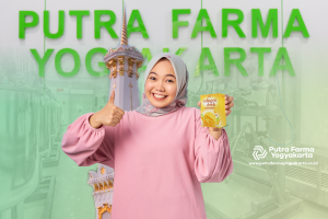 TIDAK Perlu Ragu dengan Pabrik Collagen Berpengalaman Yogyakarta!