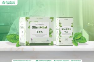 Usaha Slimming Drink Pakai Jasa Maklon, ANTI Ribet Club!