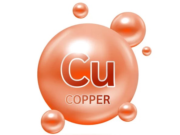substances increase collagen in the body
