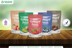 Maklon Minuman Collagen Berlisensi, Hasilnya Telah TERBUKTI!