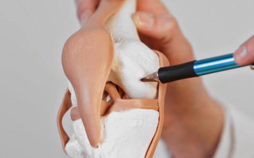 types of collagen in the body