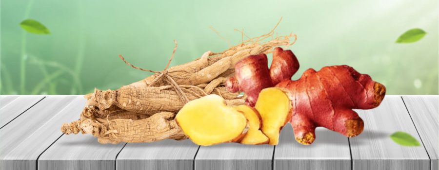 4 Herbal Supplements to Boost Men’s Stamina for a More Exciting Bedroom Experience!