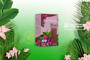 Putuskan Formulasi Produk Meal Replacement Primadona MILIK Anda!