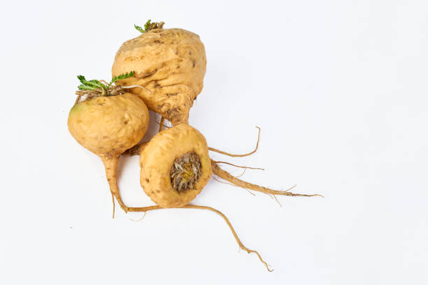 herbal supplements to boost men's stamina
