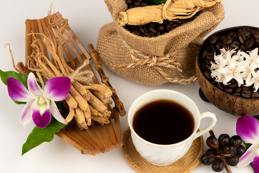maklon kopi stamina one stop service