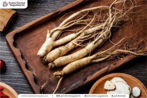 4 Benefits of Ginseng for Male Virility, Restoring Male Vitality!