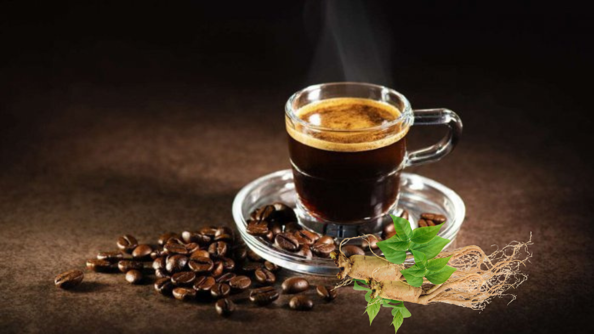 jasa maklon kopi stamina private label
