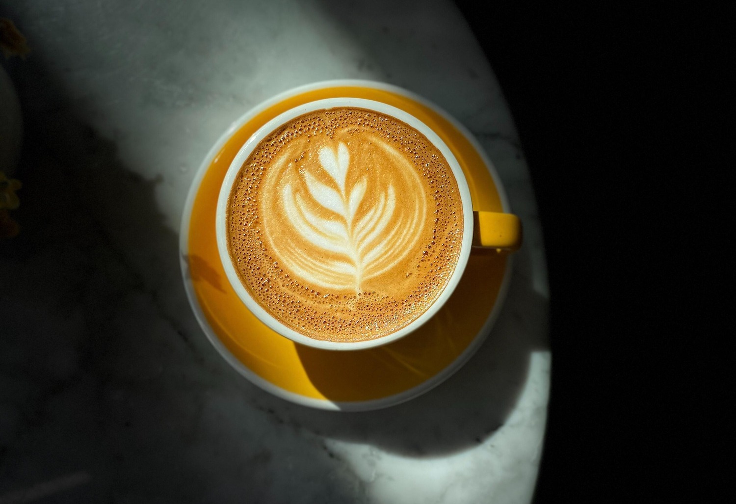 kopi terenak di indonesia
