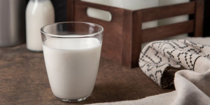 powder-milk-for-adults