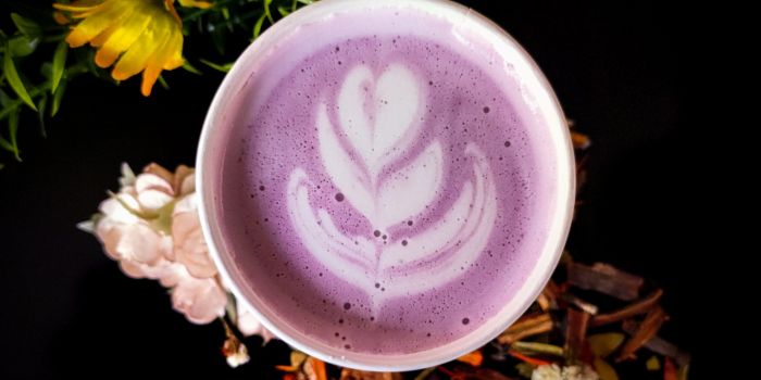 taro-powder-latte