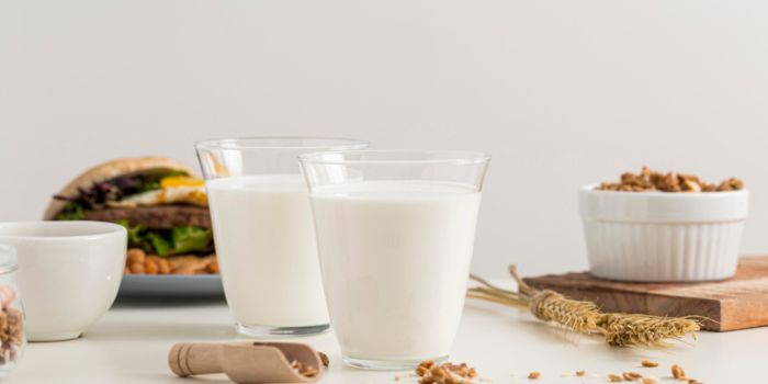 milk-booster-drinks-with-oats