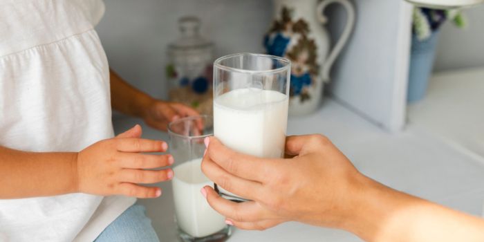 susu-bubuk-protein-tinggi