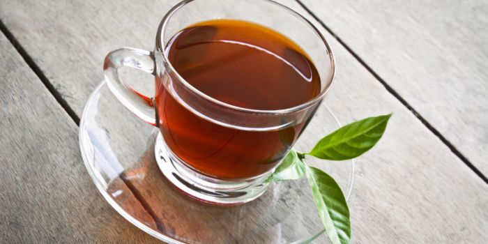 manfaat-minum-teh-daun-sirsak