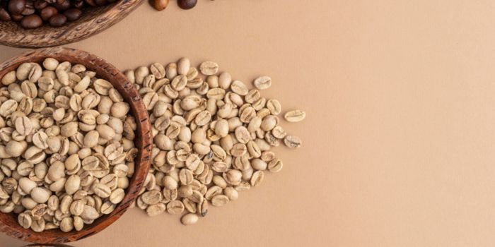 proses-membuat-kopi-luwak