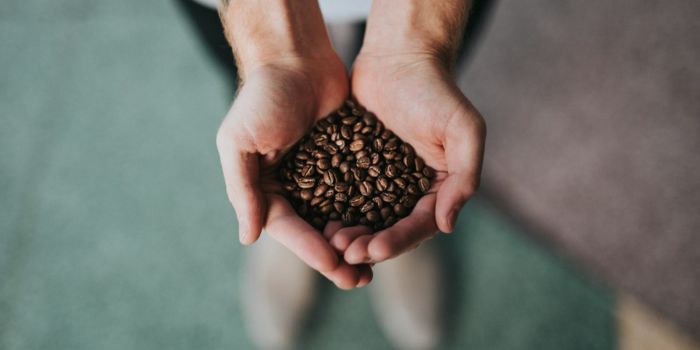 jenis-kopi-terenak-di-indonesia