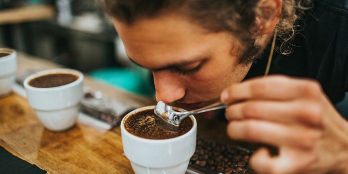 kopi-terenak-di-indonesia