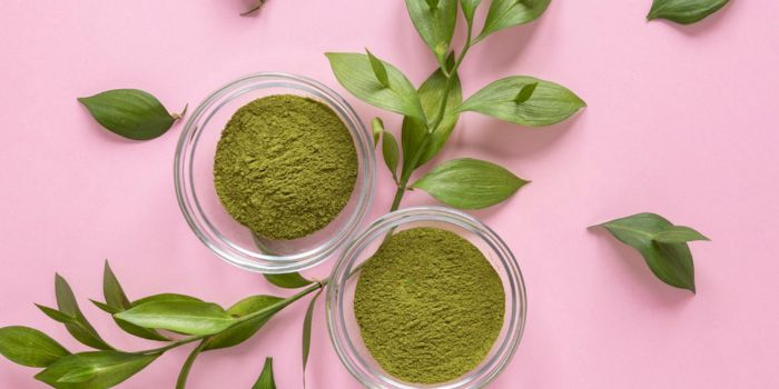 best-matcha-green-tea-powder