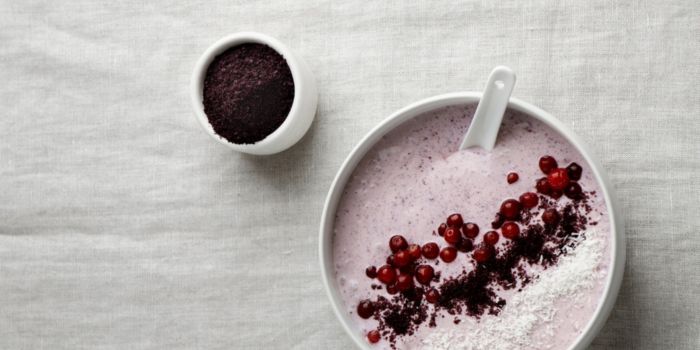 chocolate-weight-control-shakes-recommendation