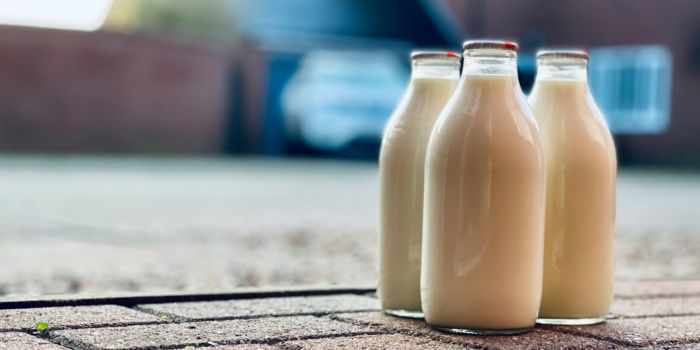 bisnis-susu-kambing
