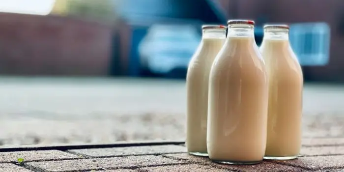 bisnis-susu-kambing