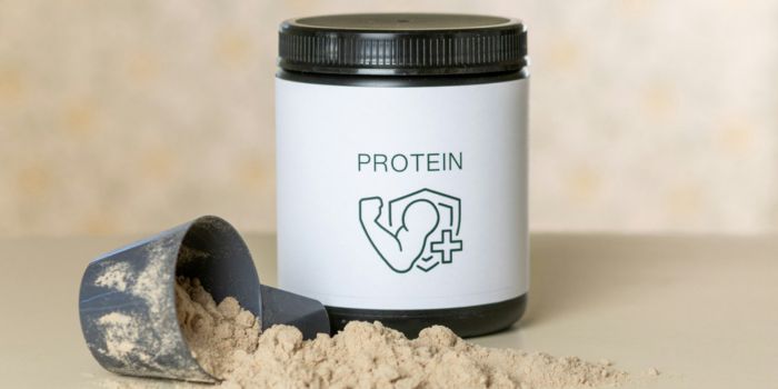 rekomendasi-whey-protein-terbaik