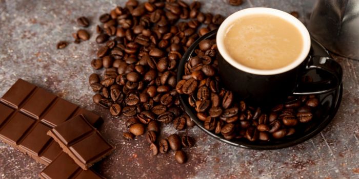 best-chocolate-powder-for-coffee