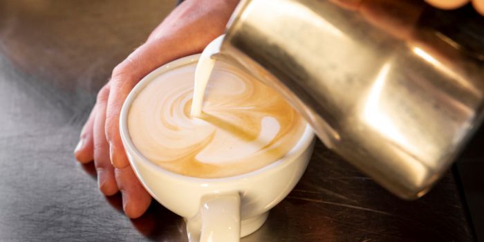 creamer-bubuk-untuk-kopi-terbaik