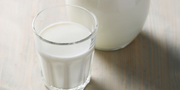 lactose-free-milk-powders