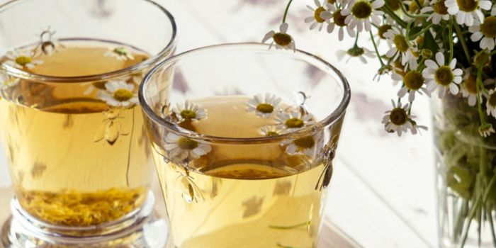 manfaat-teh-bunga-chamomile-untuk-kolesterol