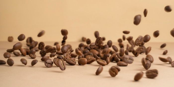 merek-kopi-bubuk-yang-enak