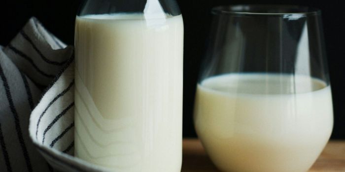 minuman-susu-kedelai-untuk-diet