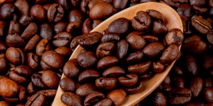 proses-pembuatan-kopi-bubuk-hitam