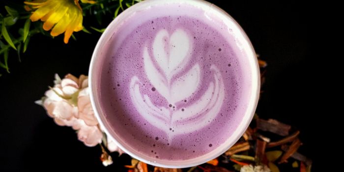 rekomendasi-bubuk-taro-untuk-minuman