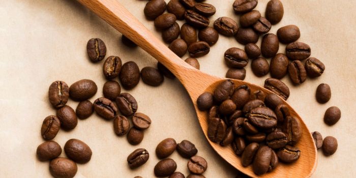 rekomendasi-kopi-bubuk-yang-enak