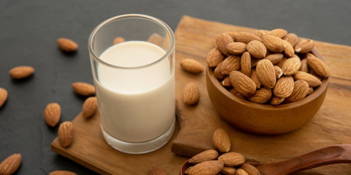 best-almond-milk-powder