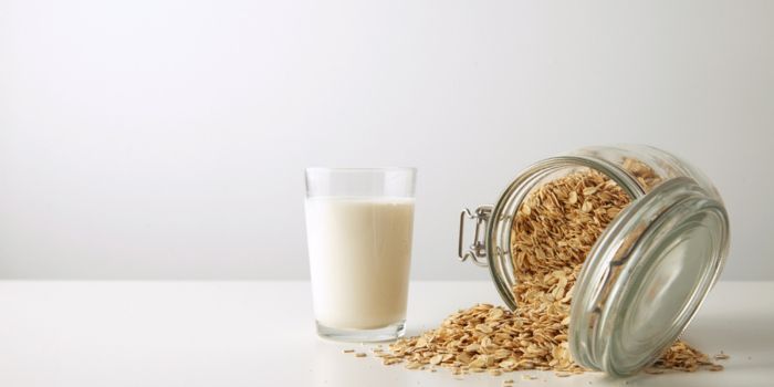 best-oat-milk-powder
