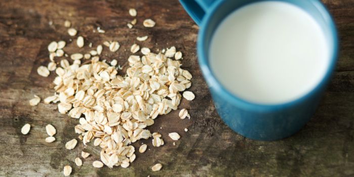 best-oat-milk-powders